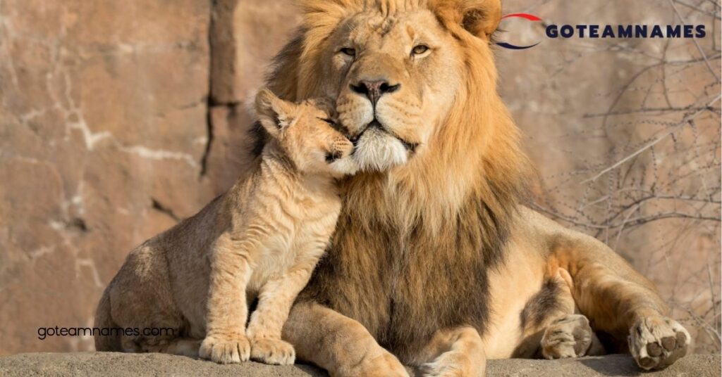 Unique Lion Names: Discover Powerful and Majestic Options for Your Furry Friend 3 Cute Lion Names