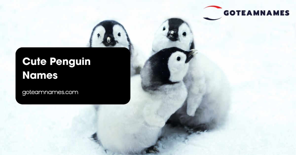 Cute Penguin Names