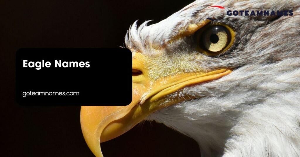 Eagle Names