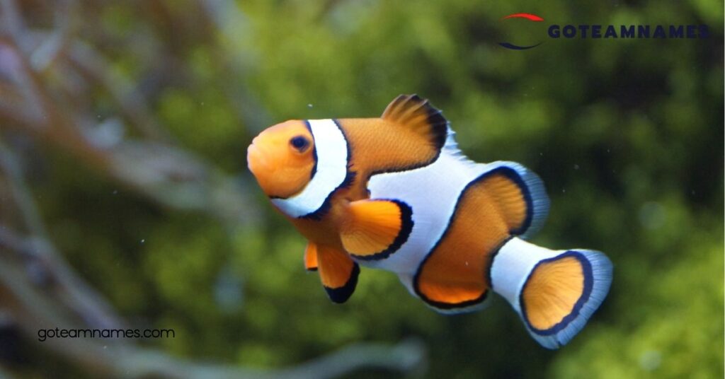 25 Fascinating Fish Names That Reveal the Secrets of Our Underwater Friends 1 Famous Fish Names