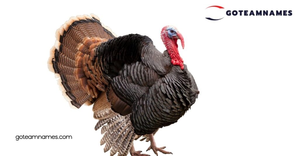 30 Fun and Unique Turkey Names to Spice Up Your Thanksgiving Celebration 2 Famous Turkey Names in Pop Culture