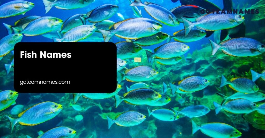 Fish Names