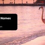 Flamingo Names