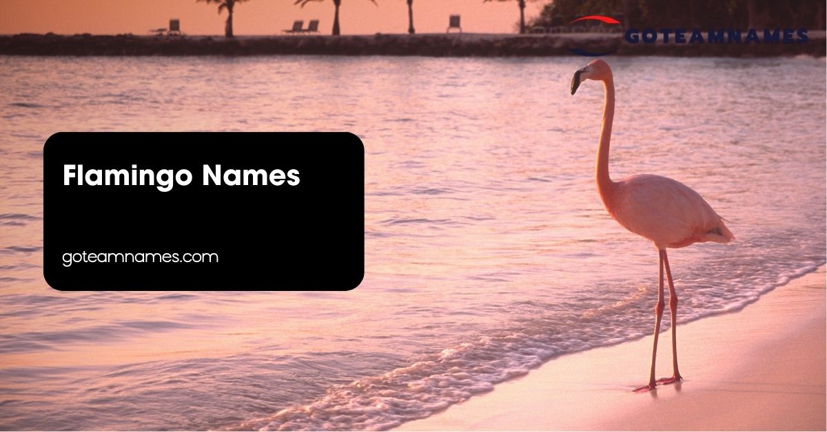 Flamingo Names