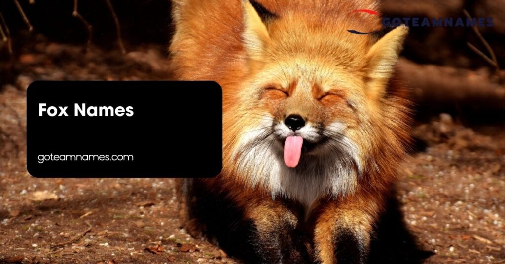 Fox Names