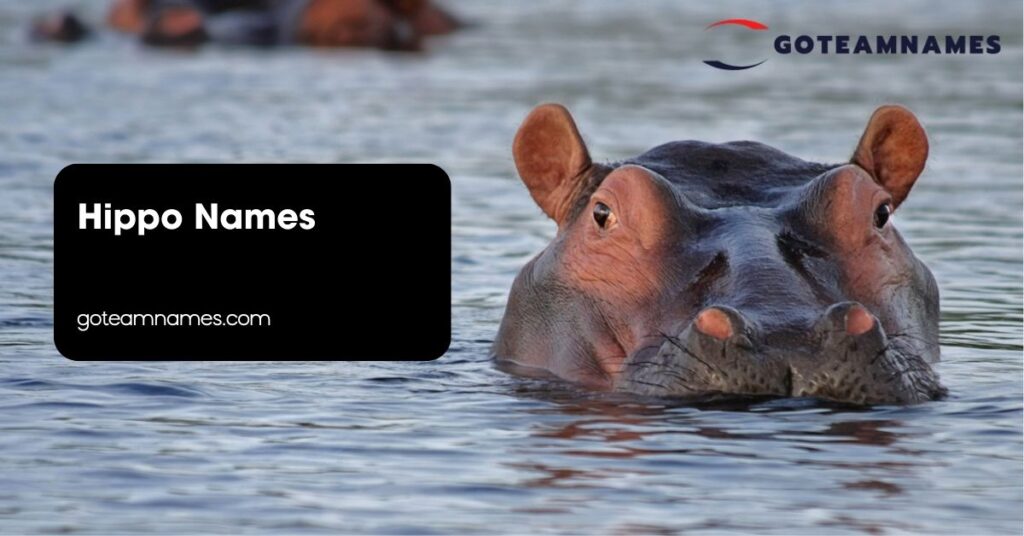 Hippo Names