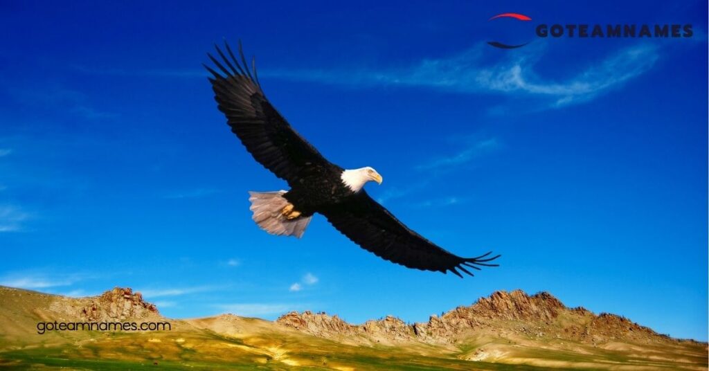 Unveiling the Majesty: Explore Powerful Eagle Names and Their Meaning Across Cultures 2 Names Inspired by Eagle Characteristics