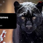 Panther Names