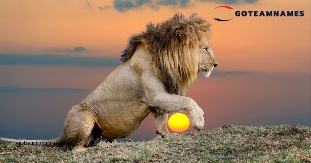 Unique Lion Names: Discover Powerful and Majestic Options for Your Furry Friend 4 Rare Lion Names