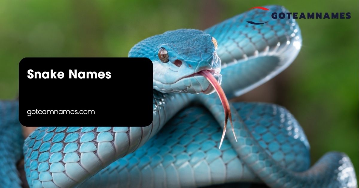 Snake Names