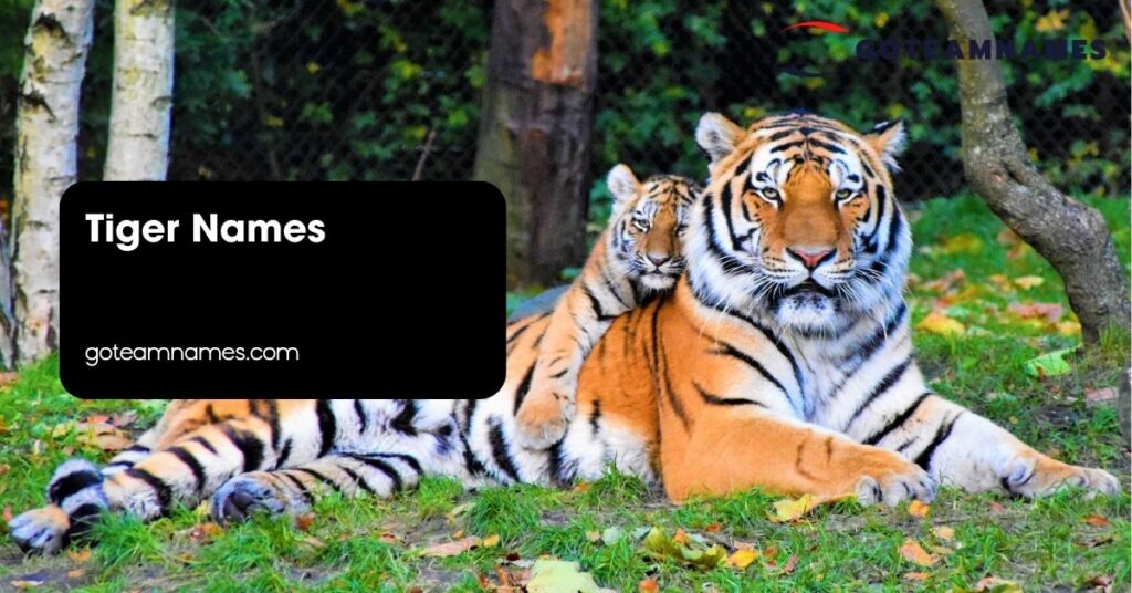 Tiger Names